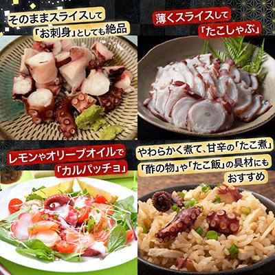 ふるさと納税 根室市 【北海道根室産】真たこ1本足1〜1.3kg A-19004 |  | 02