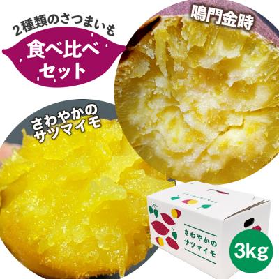 サツマイモさん専用 ふるさと納税 鳴門市 【先行受付中・2026年10月頃より順次発送