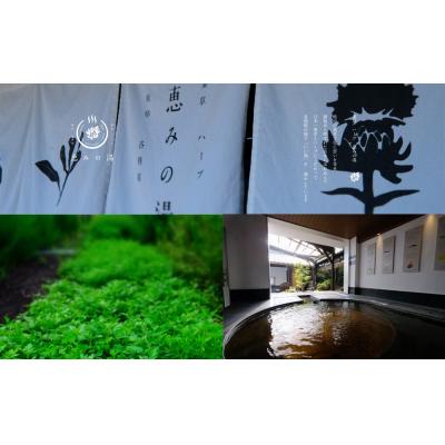 ふるさと納税 各務原市 岐阜各務原 恵みの湯 入浴券(10枚)[338]