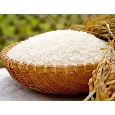 ふるさと納税 三条市 先行予約 特別栽培米 ミルキークイーン 玄米 5kg 佐藤農産有機センター【010S226】 |  | 02