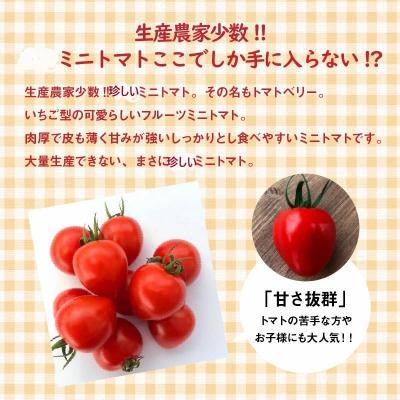 ふるさと納税 碧南市 【事前受付】トマト嫌いでも食べられるトマトベリー約700g H004-226_Nov |  | 02