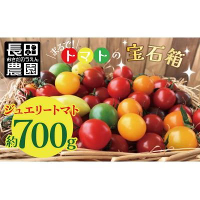 ふるさと納税 碧南市 [事前受付]まるでトマトの宝石箱!ジュエリートマト約700g H004-184_Nov