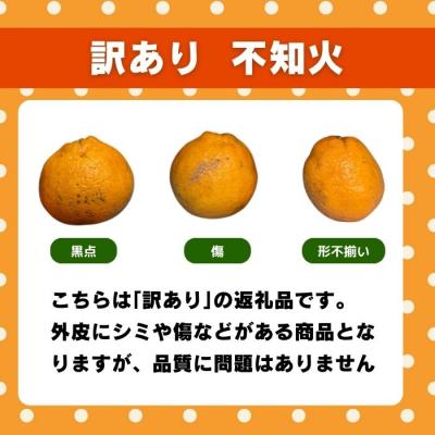 ふるさと納税 愛南町 先行受付 訳あり 不知火 3kg 5kg みかん 柑橘 フルーツ 果物 みかん職人武田屋 |  | 01