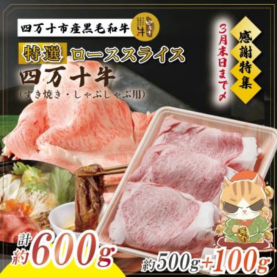 ふるさと納税 四万十市 [感謝・期間限定100g付き] 牧場直送 四万十牛 特選 ロース スライス :3月31日まで受付