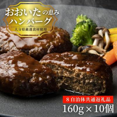 ふるさと納税 豊後高田市 大分の恵み ハンバーグ 1.6kg (160g×10個)
