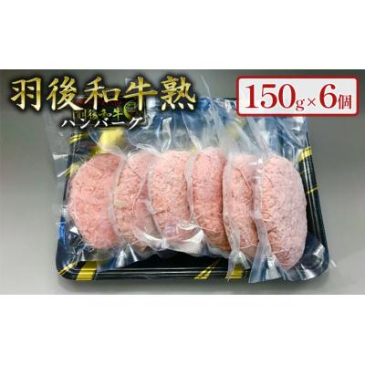ふるさと納税 羽後町 「羽後和牛熟」ハンバーグ150g×6個セット 