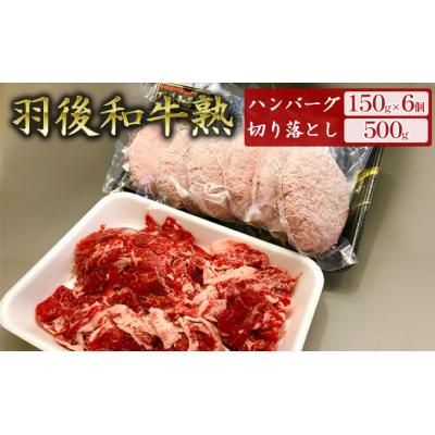 ふるさと納税 羽後町 「羽後和牛熟」ハンバーグ150g×6個+切り落とし500g 