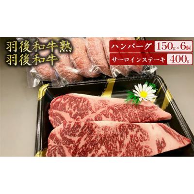 ふるさと納税 羽後町 羽後和牛熟ハンバーグ6個+羽後和牛サーロインステーキ400g 
