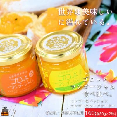 ふるさと納税 徳之島町 世界は美味しい〜ゴロッとマンゴージャム食べ比べ2種(160g)