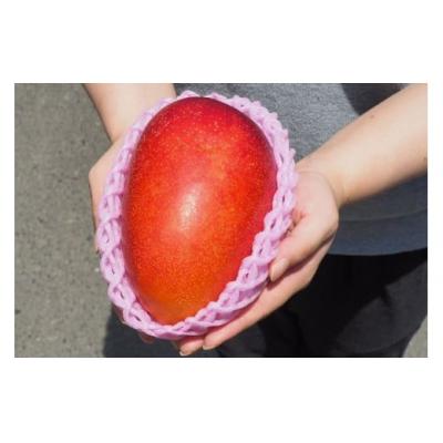 ふるさと納税 錦江町 キングサイズの完熟マンゴー(No.3043-2)