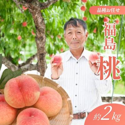 ふるさと納税 福島市 福島 桃 約2kg[2026年発送 先行受付]No.2405