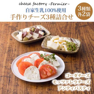 ふるさと納税 高原町 チーズ工房フェルミエ自家製チーズ3種詰め合わせ〔モッツァレラ ゴーダ アンティパスティ〕