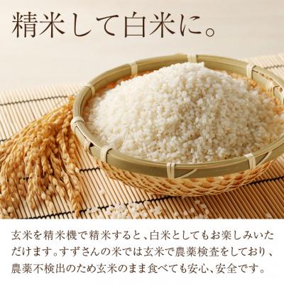 ふるさと納税 関市 ミルキークイーン 30kg 【玄米】安心・安全なすず