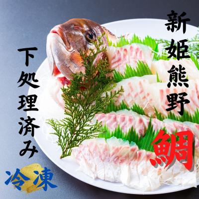 ふるさと納税 熊野市 [テレビで紹介されました]水谷水産 [新姫熊野鯛] 下処理済み (冷凍)
