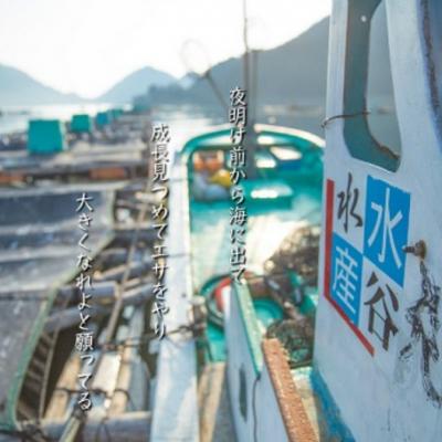 ふるさと納税 熊野市 【テレビで紹介されました】水谷水産【新姫　熊野鯛】 お刺身用短冊 (冷凍) |  | 03