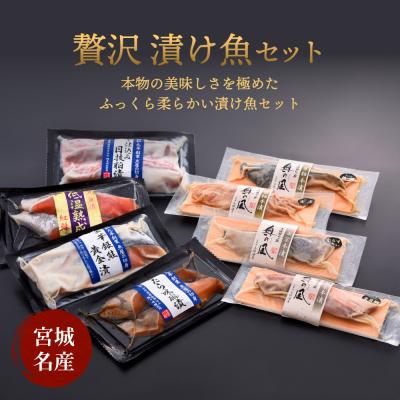 ふるさと納税 石巻市 贅沢漬け魚セット 8種 冷凍 漬魚 銀鮭 紅鮭 目抜 銀だら カレイ 金目鯛 吉次