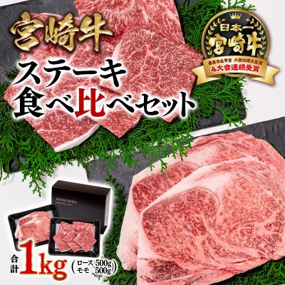 ふるさと納税 西都市 内閣総理大臣賞4連覇!宮崎牛ステーキ1kg 2種食べ比べ ミヤチク[2785]