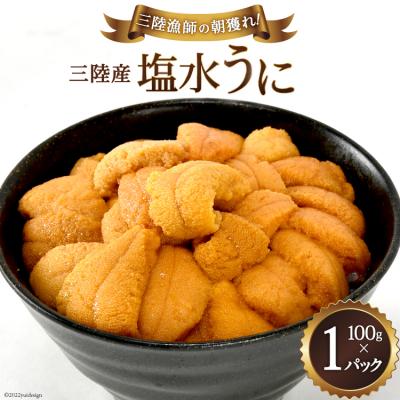 ふるさと納税 気仙沼市 [期間限定発送] うに 三陸産塩水うに 100g×1パック [村東商店 20564236]