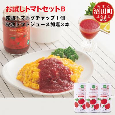 ふるさと納税 沼田町 完熟トマトお試しセットB(ケチャップ1個・加塩缶3本) n-0063
