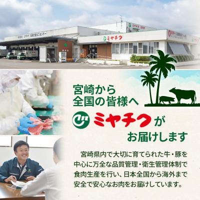 ふるさと納税 西都市 宮崎牛 赤身スライス800gA4〜A5等級 牛肉内閣総理大臣賞受賞ミヤチク[3015] |  | 02
