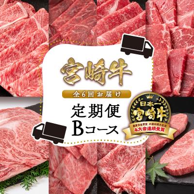 ふるさと納税 西都市 [6ヶ月定期便]内閣総理大臣賞4連覇!宮崎牛 焼肉 すき焼き しゃぶしゃぶ ステーキB [2792]