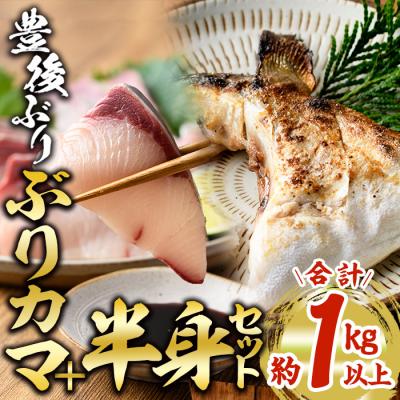 ふるさと納税 佐伯市 &lt;先行予約受付中!2025年12月に順次発送予定&gt;豊後ぶり半身セット (合計1kg以上)