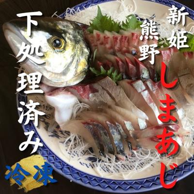 ふるさと納税 熊野市 [新姫 熊野しまあじ] 下処理済み 冷凍 水谷水産