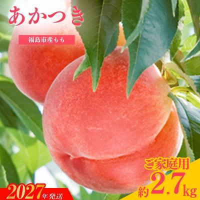 ふるさと納税 福島市 もも「あかつき」ご家庭用 約2.7kg【2027年発送