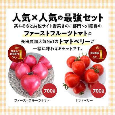 ふるさと納税 碧南市 【2027年発送】ファーストトマト&トマトベリー 計1.4kg(3月〜5月で発送)　H004-197 |  | 01