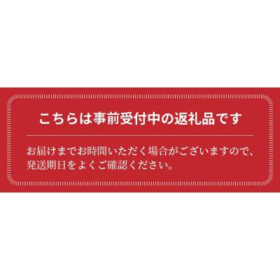 ふるさと納税 碧南市 【2027年発送】ファーストトマト&トマトベリー 計1.4kg(3月〜5月で発送)　H004-197 |  | 03