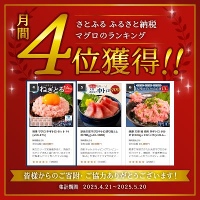 ふるさと納税 焼津市 【2026年5月発送】焼津 マグロ ネギトロ セット