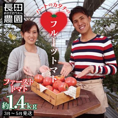 ふるさと納税 碧南市 【事前受付】3ヶ月しか食べられないファーストトマト 約1.4kg 3月〜5月発送 H004-228 | 