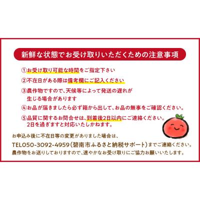 ふるさと納税 碧南市 【事前受付】3ヶ月しか食べられないファーストトマト 約1.4kg 3月〜5月発送 H004-228 |  | 03