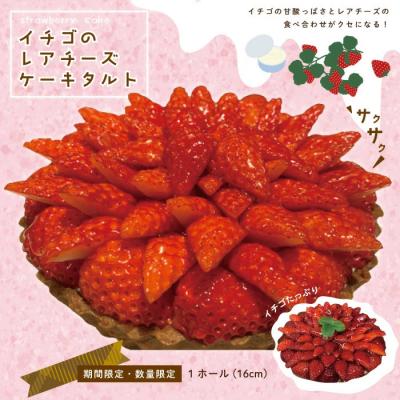 ふるさと納税 四万十市 [数量限定・期間限定]イチゴたっぷり!イチゴのレアチーズタルト[2026年1月中旬〜4月下旬配送]