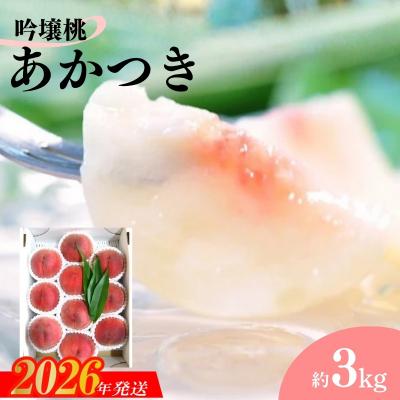 ふるさと納税 福島市 吟壌桃「あかつき」約3kg[2026年発送]No.2320