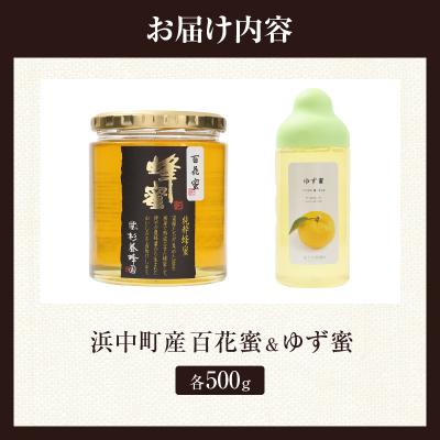 ふるさと納税 浜中町 【数量限定】国産百花蜜(500g×1瓶)\u0026果汁入りゆず蜜(500g×1本)_H0031-102の画像
