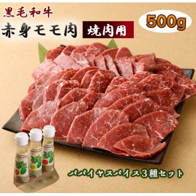 ふるさと納税 天城町 黒毛和牛 赤身モモ肉 焼肉用 500g パパイヤスパイス 3種セット 牛肉 もも肉