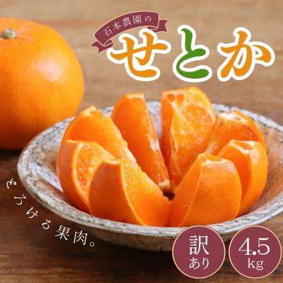 ふるさと納税 紀宝町 訳あり M-4L サイズおまかせ 石本農園のせとか 4.5kg[mis013B]