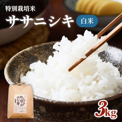 ふるさと納税 石巻市 米 白米 ササニシキ 3kg 特別栽培米 お米 精米 家庭用 有機栽培 少量