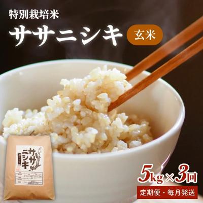 ふるさと納税 石巻市 米 定期便 特別栽培米 ササニシキ 玄米15kg[毎月5kg 全3回] 宮城県 石巻市