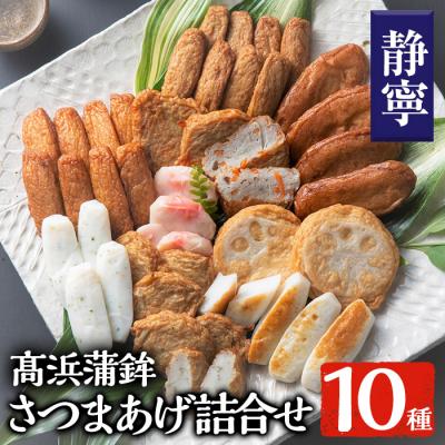 ふるさと納税 いちき串木野市 真空個包装! 串木野10種類さつま揚げ詰め合わせ[静寧][高浜蒲鉾]