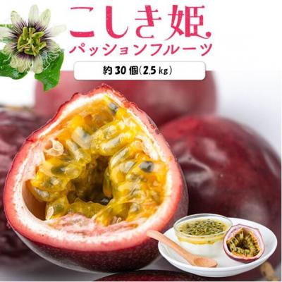 ふるさと納税 薩摩川内市 [先行受付]数量限定 甑島のパッションフルーツ 2.5kg ご自宅用 BSR-863