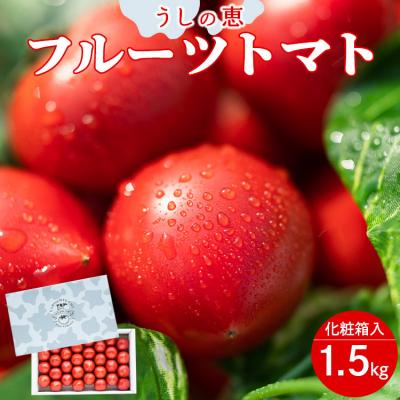 ふるさと納税 香南市 [先行受付]野菜ソムリエが育てた うしの恵 フルーツトマト 1.5kg(化粧箱入) mj-0019