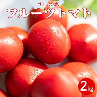 ふるさと納税 香南市 [先行受付]野菜ソムリエのフルーツトマト2kg うしの恵 mj-0020