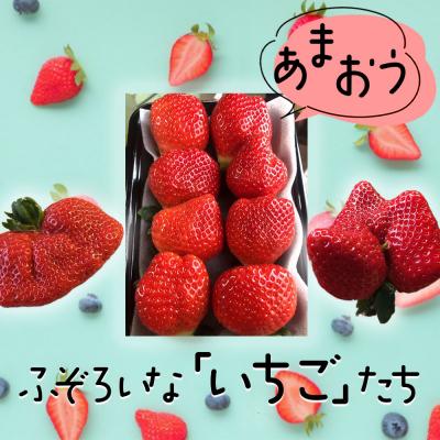 ふるさと納税 小郡市 訳ありいちご 白木のいちご あまおう ふぞろいないちごたち 250g×4P[No5354-0591]