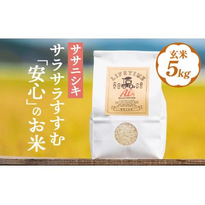 ふるさと納税 石巻市 [ 先行受付 ]ササニシキ 玄米 5kg 新米 米 化学肥料不使用 お米 コメ こめ
