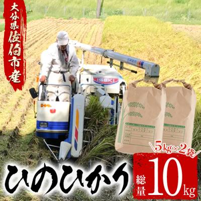 ふるさと納税 佐伯市 &lt;令和7年産&gt;&lt;新米&gt;大分ひのひかり(計10kg・5kg×2袋)