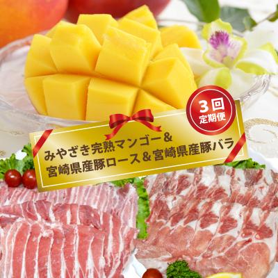 ふるさと納税 西都市 [3回定期便]みやざき完熟マンゴー&amp;宮崎県産豚肉ロース&amp;バラ肉 先行受付[2859]