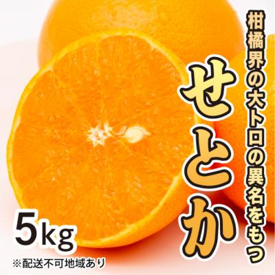 ふるさと納税 三原市 [先行受付]果汁たっぷり甘さに満足!せとか 約5kg[017-021]