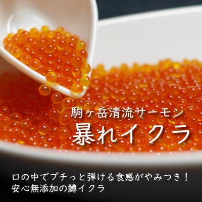 ふるさと納税 宮田村 [先行受付]駒ヶ岳清流サーモン「暴れイクラ」300g(生鮮便:冷蔵)